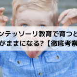 【徹底考察】モンテッソーリ教育で育つとわがままになる？