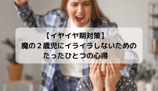 【イヤイヤ期対策】魔の２歳児にイライラしないためのたったひとつの心得