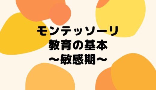 【モンテッソーリ教育の基本理念】敏感期とは？